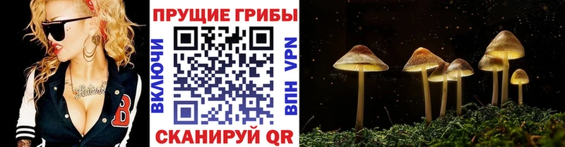 Псилоцибиновые грибы MAGIC MUSHROOMS  Велиж 