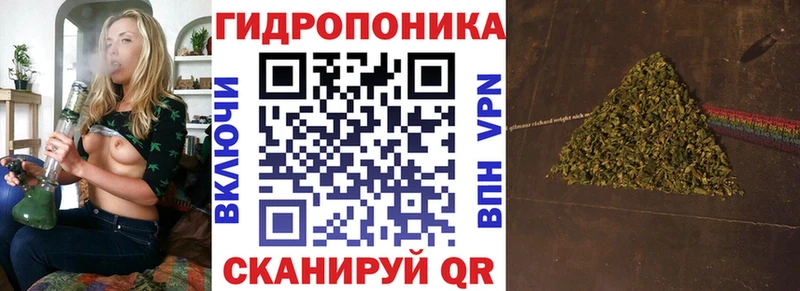 Бошки марихуана OG Kush  Велиж 